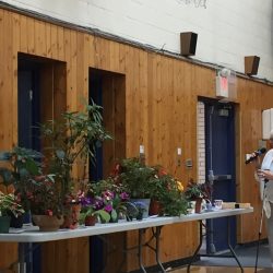 Show Table