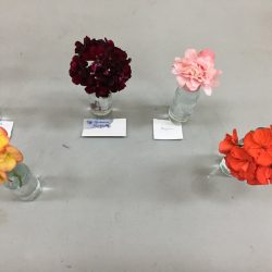 Bloom Table