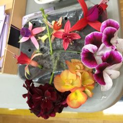 Bloom Table