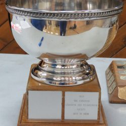 Pelargonium Trophy