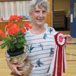 Best Pelargonium in Show