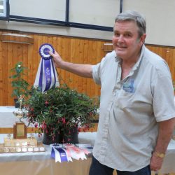 Best Fuchsia in Show