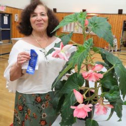 1st -Begonia Tuber