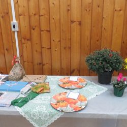 Some of the door prizes.